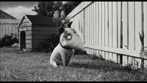 Miniatures in Motion: Bringing Frankenweenie to Life Bild 1