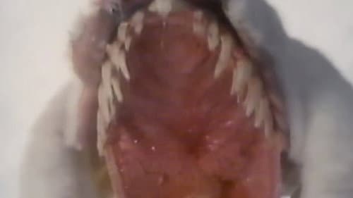 モモコワンダーランド　ストレンジハウス Bild 8