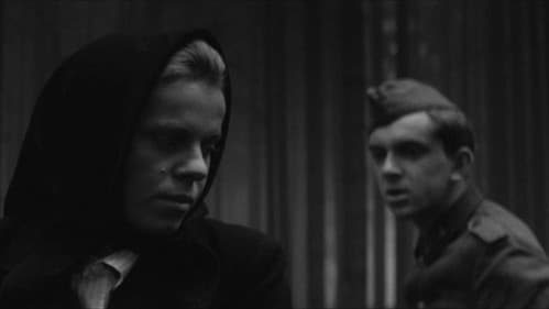 Wagen nach Wien Bild 5