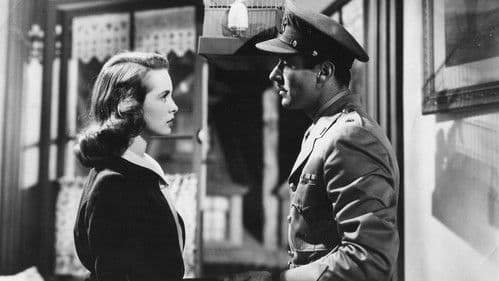 Schicksal in Wien Bild 4