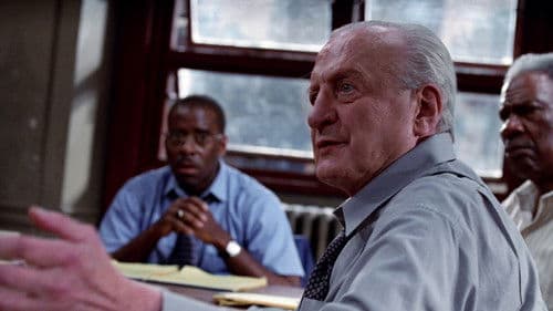 Die 12 Geschworenen Bild 8