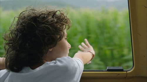 Fridas Sommer Bild 8