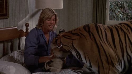 Big Boy - Der aus dem Dschungel kam Bild 2