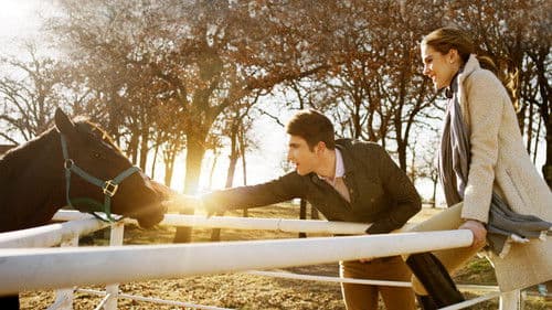 Völlig verrückte Weihnachten Bild 1