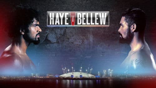 David Haye vs. Tony Bellew Bild 1