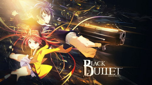 Black Bullet Bild 6