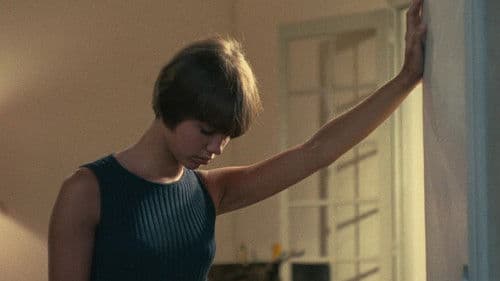 Die Sammlerin Bild 1