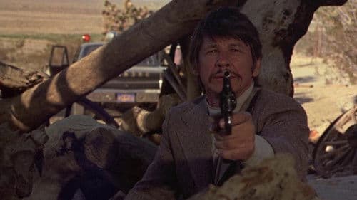 Ein Mann geht über Leichen Bild 5