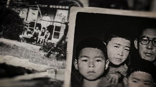 Miyazaki - Die Natur im Blick Bild 1