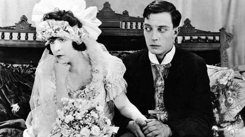 Nachbarschaft im Klinch Bild 3