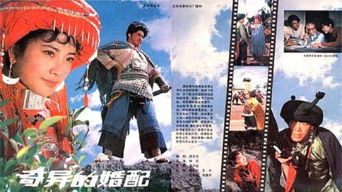 奇异的婚配 Bild 1