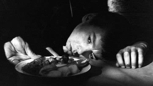 Der Teufelskreis Bild 1