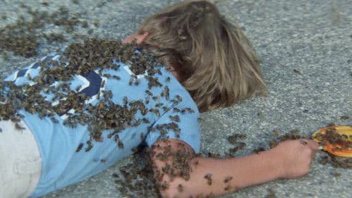 Der tödliche Schwarm Bild 2