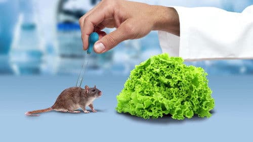 The Weight of Chains 3 Bild 1