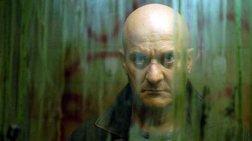 La cura del gorilla Bild 1