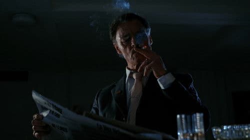 Entre plumas falsas y balas verdaderas Bild 3