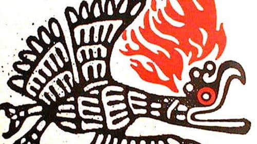 Mexiko in Flammen Bild 2