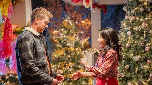 A Vineyard Christmas Bild 4