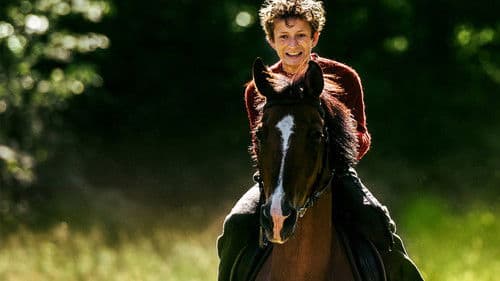 Pferde stehlen Bild 6