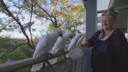 Planet Parrot Bild 1