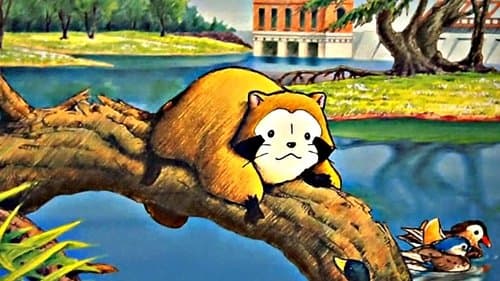 Rascal, der Waschbär Bild 1