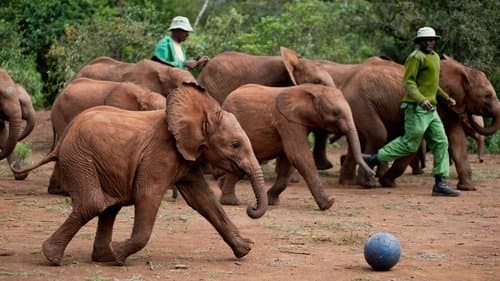 Zurück in die Wildnis Bild 1