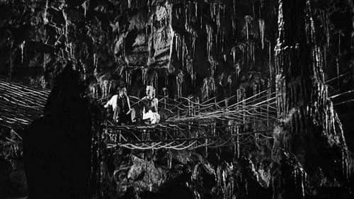 Die Rache der schwarzen Spinne Bild 4