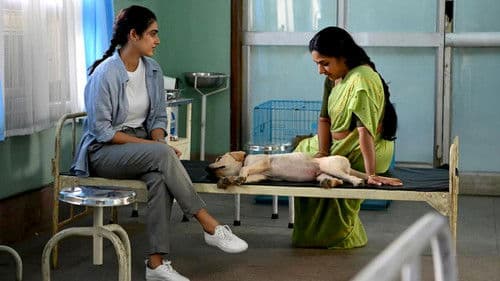 మీట్‌ క్యూట్‌ Bild 4