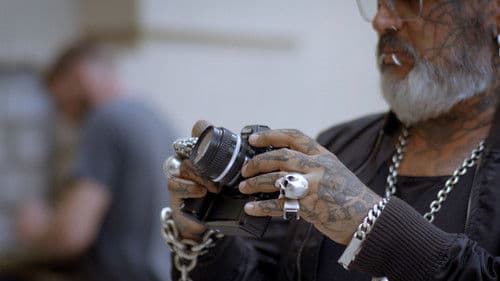 Schönheit & Vergänglichkeit Bild 2