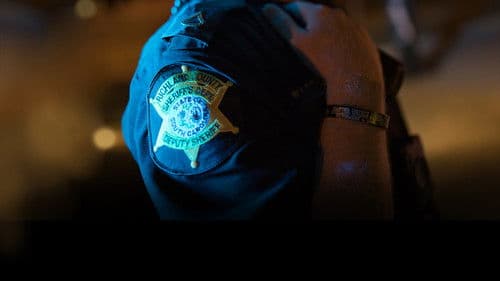 Live PD: Police Patrol Bild 2