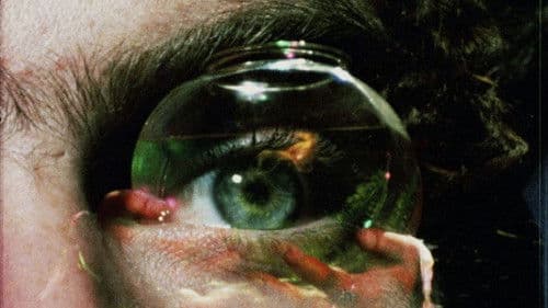 Invocation of My Demon Brother Bild 1