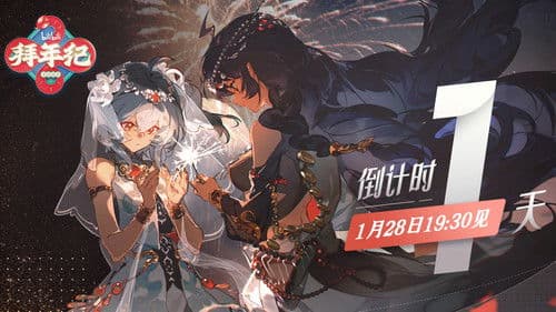 哔哩哔哩拜年祭 Bild 5