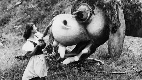 Hinter der Scheune ist ein Drache Bild 1