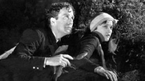 Passport to Paradise Bild 1