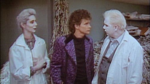 Shredder Orpheus Bild 8