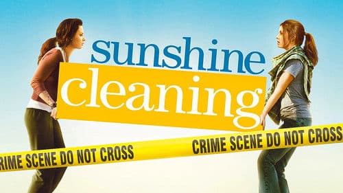 Sunshine Cleaning Bild 3
