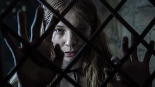 Die Schwarze Spinne Bild 2