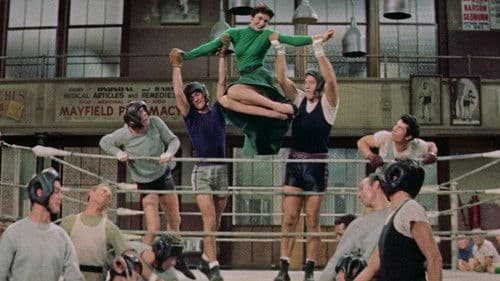 Vorwiegend Heiter Bild 3