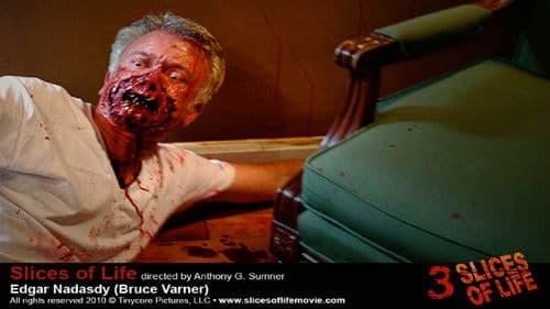 Slices of Life Bild 4