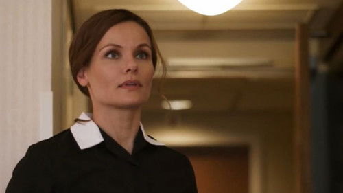 Meisje van Plezier Bild 1