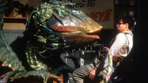 Der kleine Horrorladen Bild 5