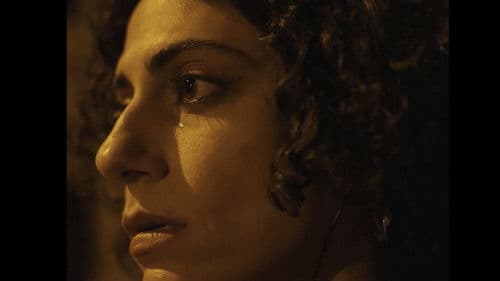 Je N’Aime Plus Ma Voiture Bild 3