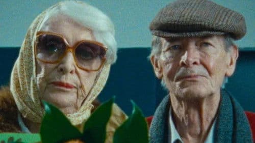 Linda, Linda! Bild 1