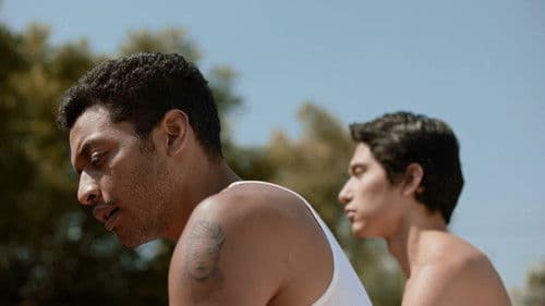 Male Shorts: International V6 Bild 4