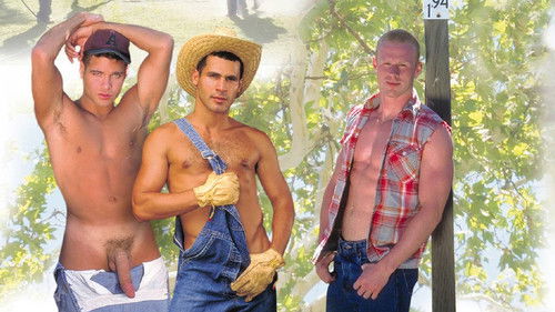 The Road Home Bild 4