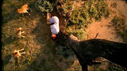 Der Japaner und die Göttin Bild 4