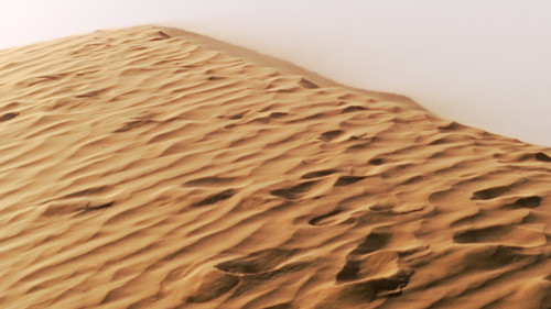 SADDAM HUSSAINÉ Bild 1