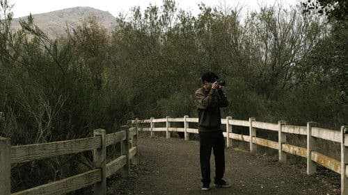 The Certain Image Bild 1