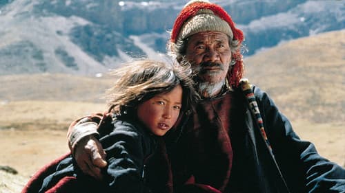 Himalaya - Die Kindheit eines Karawanenführers Bild 1