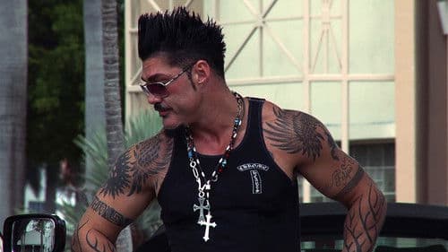 Commander Fort Bild 8